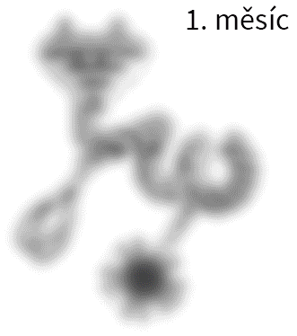 jak daleko vidí miminko